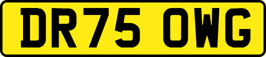 DR75OWG