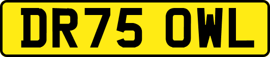 DR75OWL