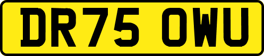 DR75OWU