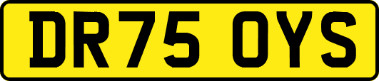 DR75OYS