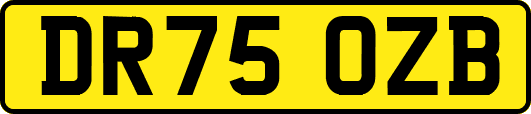 DR75OZB