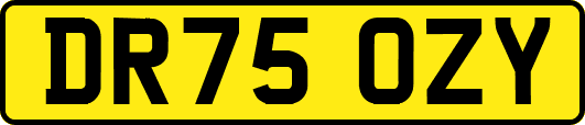 DR75OZY