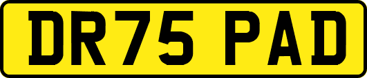 DR75PAD