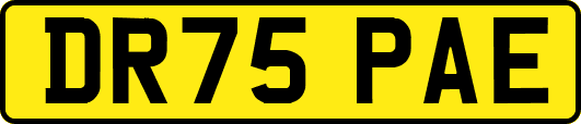 DR75PAE
