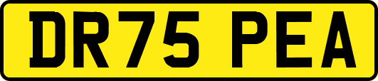 DR75PEA