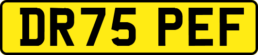 DR75PEF