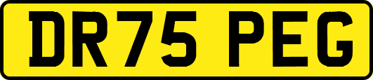 DR75PEG