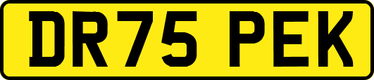 DR75PEK