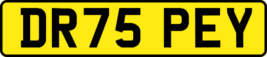 DR75PEY