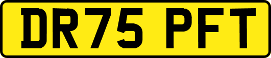 DR75PFT