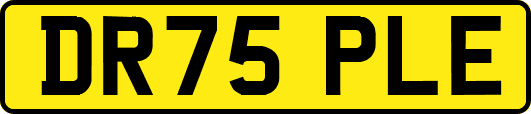 DR75PLE