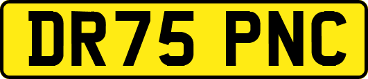 DR75PNC
