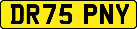 DR75PNY