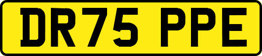 DR75PPE