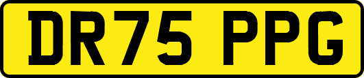DR75PPG