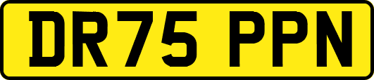 DR75PPN