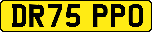 DR75PPO