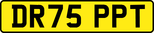 DR75PPT