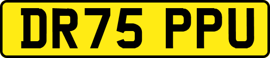 DR75PPU