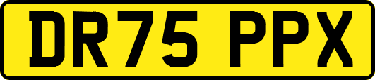 DR75PPX
