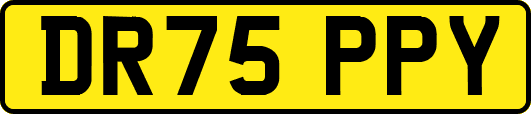 DR75PPY