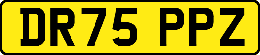 DR75PPZ
