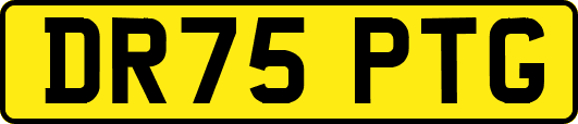 DR75PTG