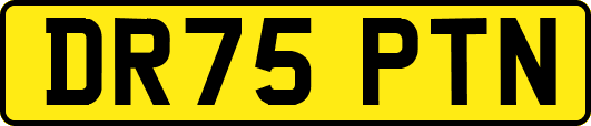 DR75PTN