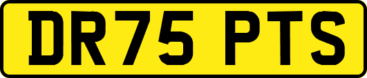 DR75PTS