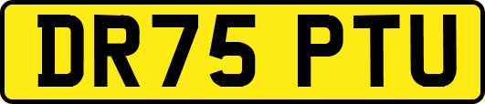 DR75PTU