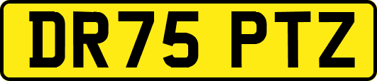 DR75PTZ