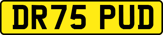 DR75PUD