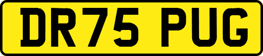 DR75PUG