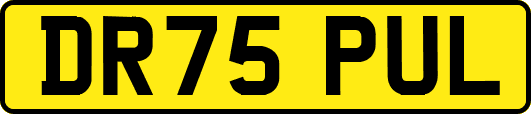 DR75PUL