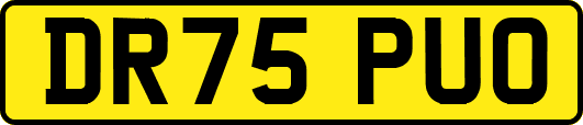 DR75PUO