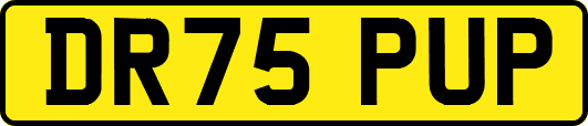 DR75PUP