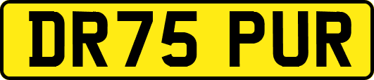 DR75PUR