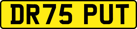 DR75PUT
