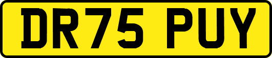 DR75PUY