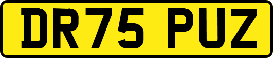 DR75PUZ