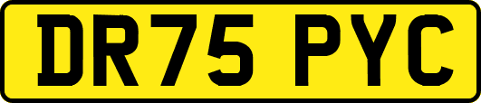 DR75PYC