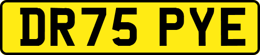 DR75PYE