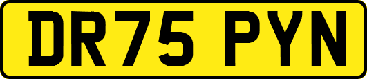 DR75PYN