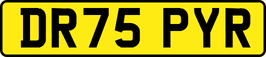 DR75PYR