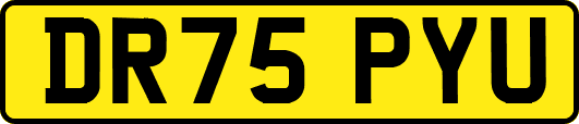 DR75PYU