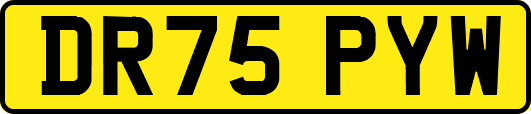 DR75PYW