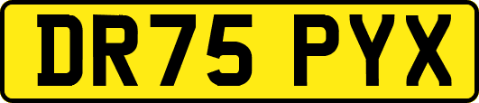 DR75PYX