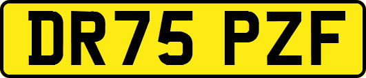 DR75PZF