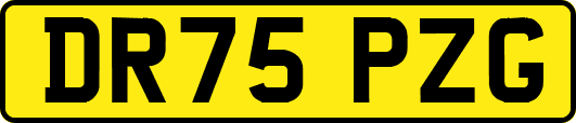 DR75PZG
