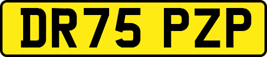 DR75PZP